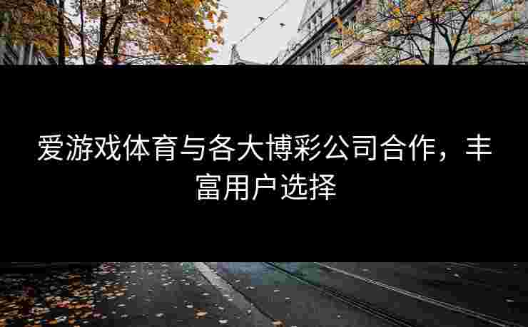 爱游戏体育与各大博彩公司合作，丰富用户选择