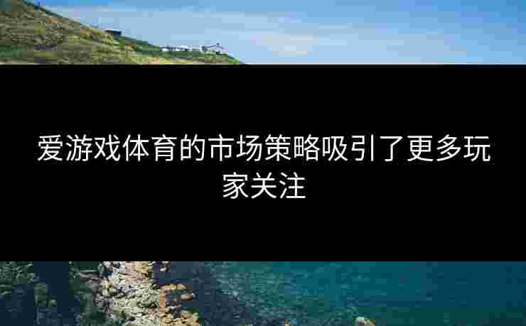 爱游戏体育的市场策略吸引了更多玩家关注