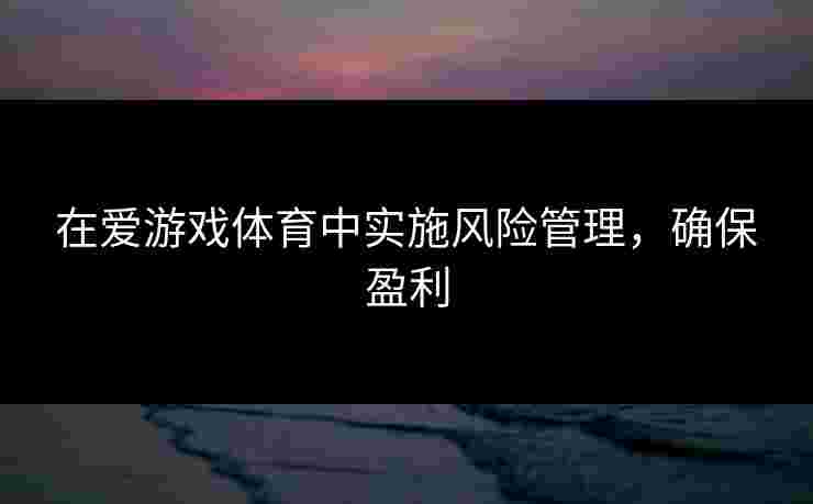 在爱游戏体育中实施风险管理，确保盈利